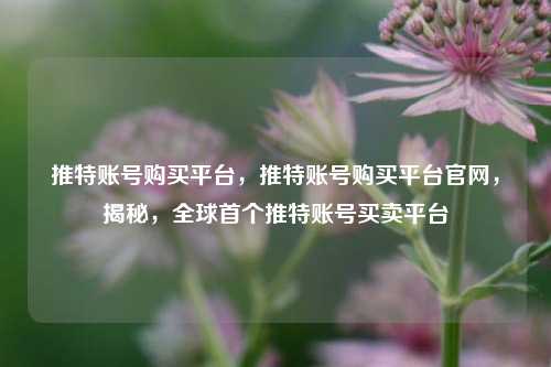 推特账号购买平台，推特账号购买平台官网，揭秘，全球首个推特账号买卖平台