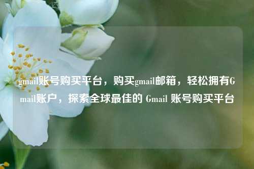 gmail账号购买平台，购买gmail邮箱，轻松拥有Gmail账户，探索全球最佳的 Gmail 账号购买平台