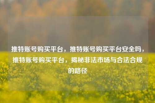 推特账号购买平台，推特账号购买平台安全吗，推特账号购买平台，揭秘非法市场与合法合规的路径