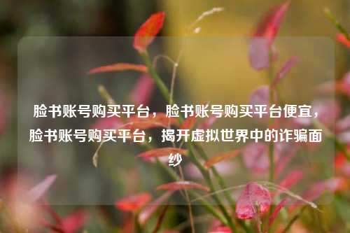 脸书账号购买平台，脸书账号购买平台便宜，脸书账号购买平台，揭开虚拟世界中的诈骗面纱