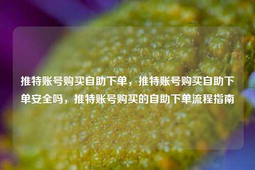 推特账号购买自助下单，推特账号购买自助下单安全吗，推特账号购买的自助下单流程指南