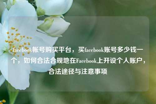 facebook帐号购买平台，买facebook账号多少钱一个，如何合法合规地在Facebook上开设个人账户，合法途径与注意事项