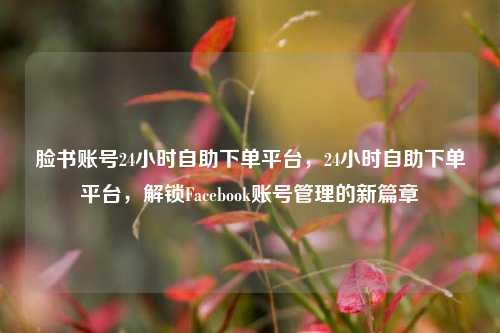 脸书账号24小时自助下单平台，24小时自助下单平台，解锁Facebook账号管理的新篇章