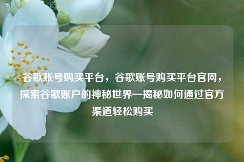 谷歌账号购买平台，谷歌账号购买平台官网，探索谷歌账户的神秘世界—揭秘如何通过官方渠道轻松购买