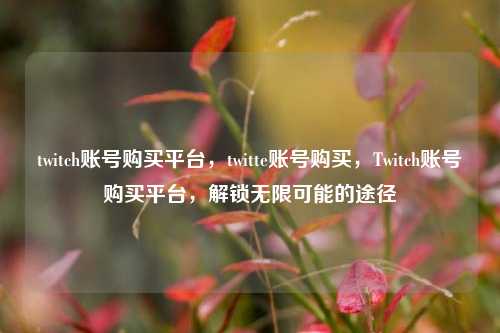 twitch账号购买平台，twitte账号购买，Twitch账号购买平台，解锁无限可能的途径