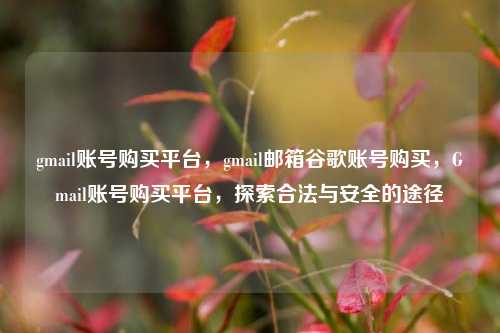 gmail账号购买平台，gmail邮箱谷歌账号购买，Gmail账号购买平台，探索合法与安全的途径