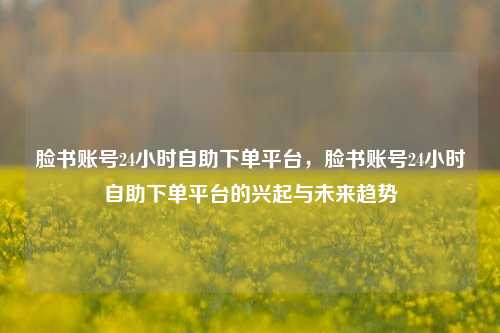 脸书账号24小时自助下单平台，脸书账号24小时自助下单平台的兴起与未来趋势