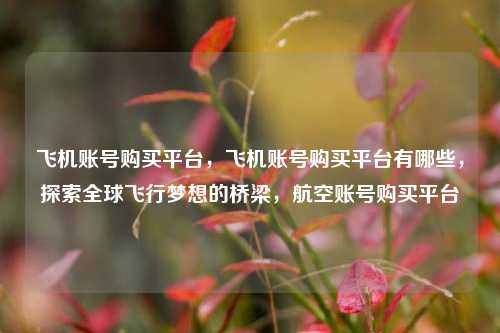 飞机账号购买平台，飞机账号购买平台有哪些，探索全球飞行梦想的桥梁，航空账号购买平台