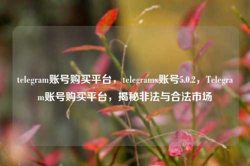 telegram账号购买平台，telegramx账号5.0.2，Telegram账号购买平台，揭秘非法与合法市场