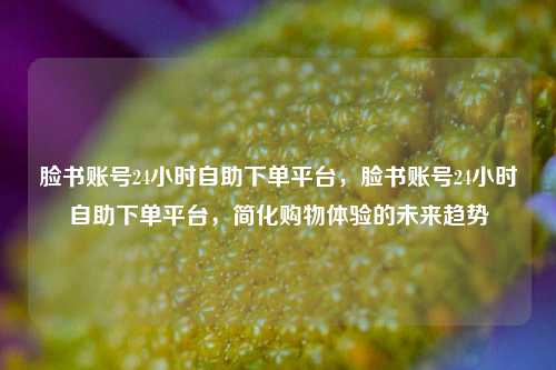 脸书账号24小时自助下单平台，脸书账号24小时自助下单平台，简化购物体验的未来趋势