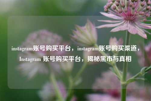instagram账号购买平台，instagram账号购买渠道，Instagram 账号购买平台，揭秘黑市与真相