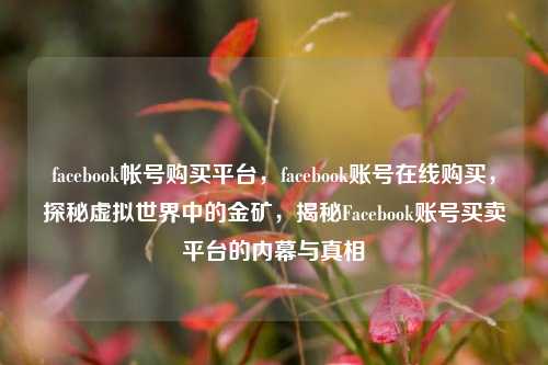 facebook帐号购买平台，facebook账号在线购买，探秘虚拟世界中的金矿，揭秘Facebook账号买卖平台的内幕与真相