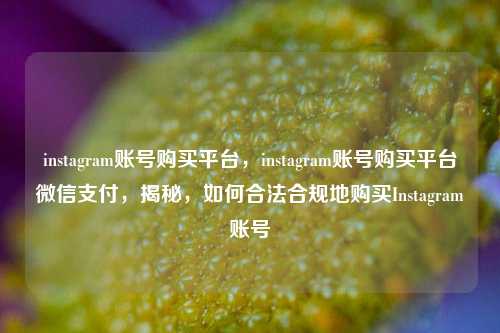 instagram账号购买平台，instagram账号购买平台微信支付，揭秘，如何合法合规地购买Instagram账号