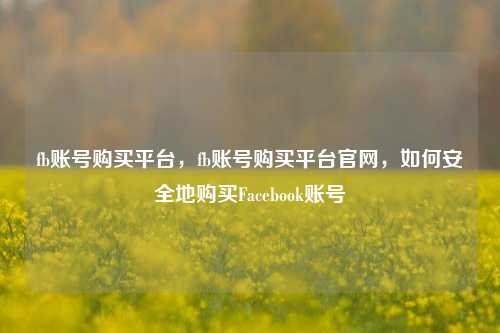fb账号购买平台，fb账号购买平台官网，如何安全地购买Facebook账号