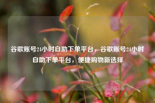 谷歌账号24小时自助下单平台，谷歌账号24小时自助下单平台，便捷购物新选择  第1张