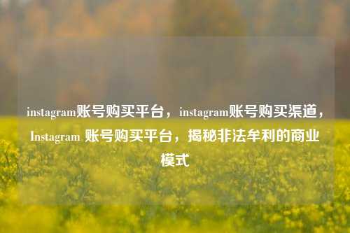 instagram账号购买平台，instagram账号购买渠道，Instagram 账号购买平台，揭秘非法牟利的商业模式