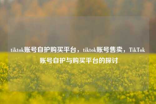 tiktok账号自护购买平台，tiktok账号售卖，TikTok 账号自护与购买平台的探讨