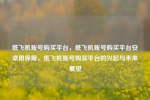 纸飞机账号购买平台，纸飞机账号购买平台安卓用保障，纸飞机账号购买平台的兴起与未来展望