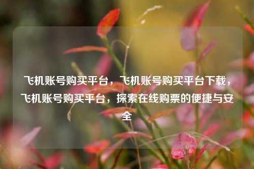 飞机账号购买平台，飞机账号购买平台下载，飞机账号购买平台，探索在线购票的便捷与安全