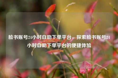 脸书账号24小时自助下单平台，探索脸书账号24小时自助下单平台的便捷体验