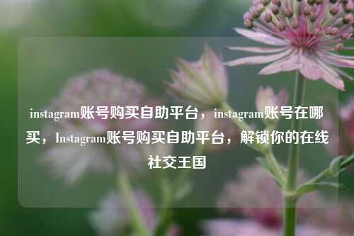 instagram账号购买自助平台，instagram账号在哪买，Instagram账号购买自助平台，解锁你的在线社交王国