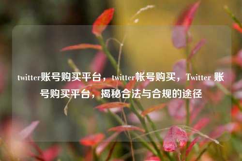 twitter账号购买平台，twitter帐号购买，Twitter 账号购买平台，揭秘合法与合规的途径