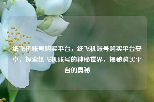 纸飞机账号购买平台，纸飞机账号购买平台安卓，探索纸飞机账号的神秘世界，揭秘购买平台的奥秘