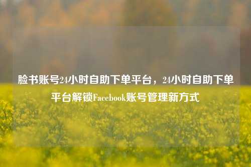 脸书账号24小时自助下单平台，24小时自助下单平台解锁Facebook账号管理新方式