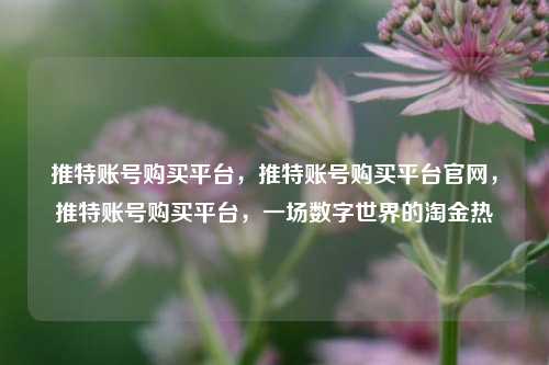 推特账号购买平台，推特账号购买平台官网，推特账号购买平台，一场数字世界的淘金热