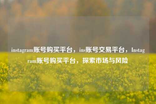 instagram账号购买平台，ins账号交易平台，Instagram账号购买平台，探索市场与风险