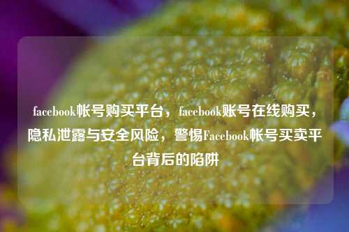 facebook帐号购买平台，facebook账号在线购买，隐私泄露与安全风险，警惕Facebook帐号买卖平台背后的陷阱