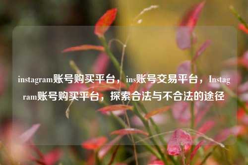 instagram账号购买平台，ins账号交易平台，Instagram账号购买平台，探索合法与不合法的途径