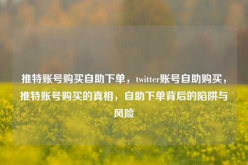 推特账号购买自助下单，twitter账号自助购买，推特账号购买的真相，自助下单背后的陷阱与风险