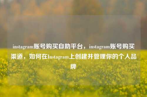 instagram账号购买自助平台，instagram账号购买渠道，如何在Instagram上创建并管理你的个人品牌
