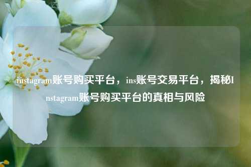 instagram账号购买平台，ins账号交易平台，揭秘Instagram账号购买平台的真相与风险