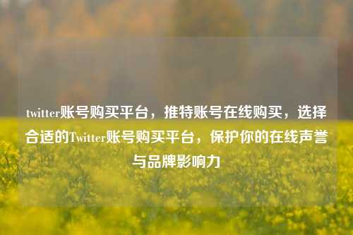 twitter账号购买平台，推特账号在线购买，选择合适的Twitter账号购买平台，保护你的在线声誉与品牌影响力