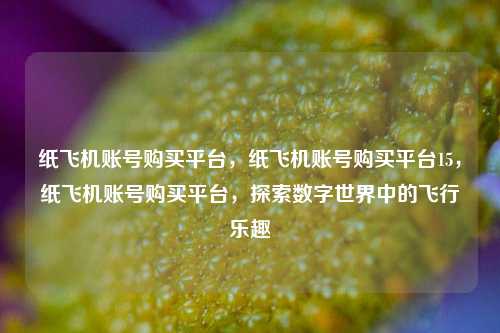 纸飞机账号购买平台，纸飞机账号购买平台15，纸飞机账号购买平台，探索数字世界中的飞行乐趣