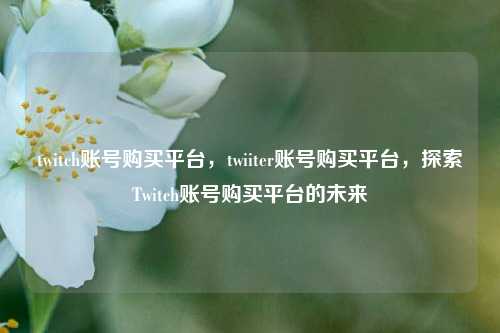 twitch账号购买平台，twiiter账号购买平台，探索Twitch账号购买平台的未来
