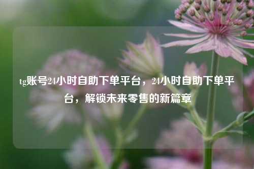 tg账号24小时自助下单平台，24小时自助下单平台，解锁未来零售的新篇章