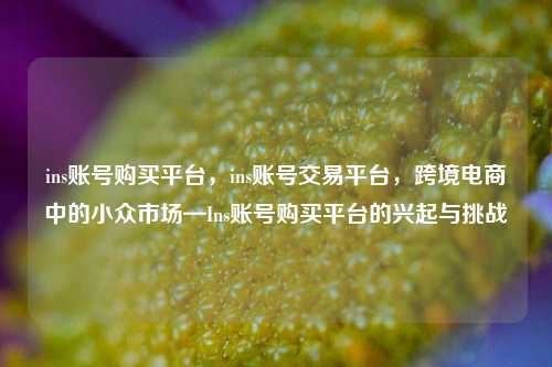 ins账号购买平台，ins账号交易平台，跨境电商中的小众市场—Ins账号购买平台的兴起与挑战