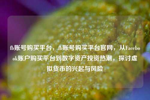 fb账号购买平台，fb账号购买平台官网，从Facebook账户购买平台到数字资产投资热潮，探讨虚拟货币的兴起与风险