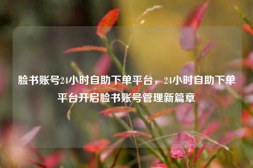 脸书账号24小时自助下单平台，24小时自助下单平台开启脸书账号管理新篇章