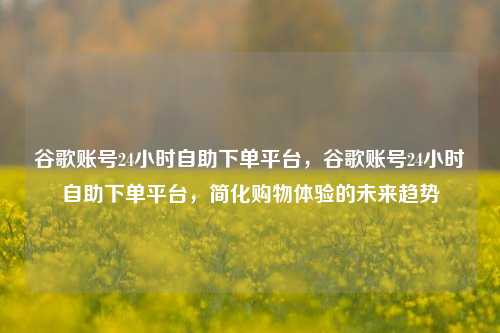 谷歌账号24小时自助下单平台，谷歌账号24小时自助下单平台，简化购物体验的未来趋势