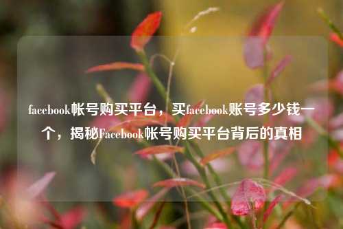 facebook帐号购买平台，买facebook账号多少钱一个，揭秘Facebook帐号购买平台背后的真相