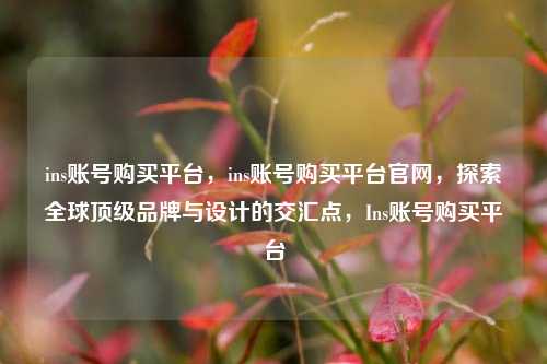 ins账号购买平台，ins账号购买平台官网，探索全球顶级品牌与设计的交汇点，Ins账号购买平台