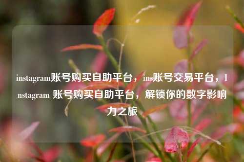 instagram账号购买自助平台，ins账号交易平台，Instagram 账号购买自助平台，解锁你的数字影响力之旅