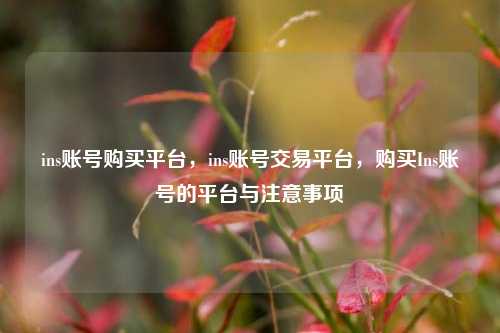 ins账号购买平台，ins账号交易平台，购买Ins账号的平台与注意事项