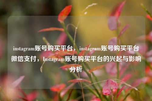 instagram账号购买平台，instagram账号购买平台微信支付，Instagram账号购买平台的兴起与影响分析