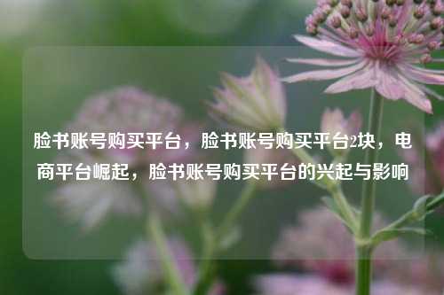 脸书账号购买平台，脸书账号购买平台2块，电商平台崛起，脸书账号购买平台的兴起与影响