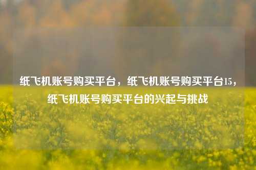 纸飞机账号购买平台，纸飞机账号购买平台15，纸飞机账号购买平台的兴起与挑战